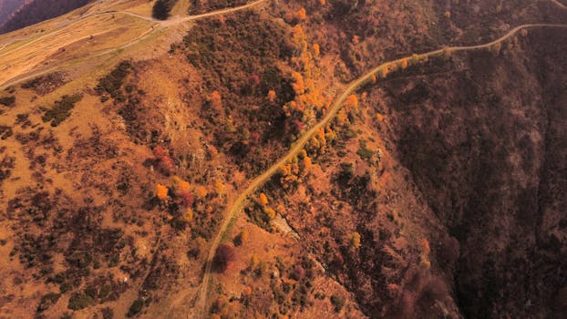 Drone shot of a scenic mountain road with autumn foliage in Gambarogno, Switzerland.