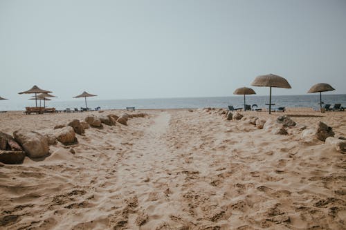 ビーチ, 休暇, 夏の無料の写真素材