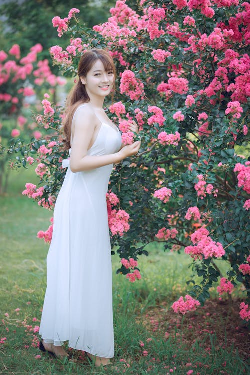 無料 木の横に立っているドレスの女性 写真素材