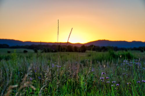 Free Capture of a serene summer sunset over a vibrant field in Minnesota, showcasing natural beauty. Stock Photo