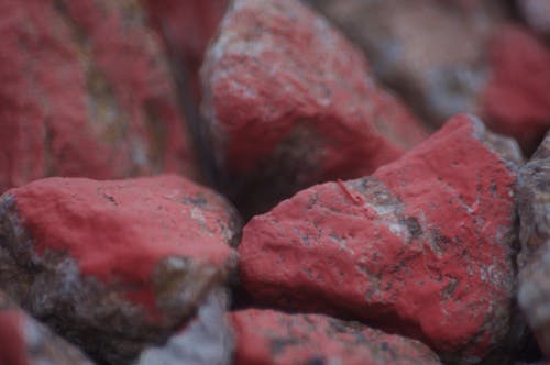 Kostenloses Stock Foto zu felsen, kamerafokus, makro