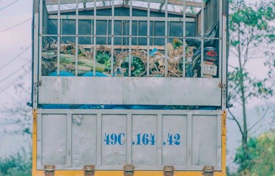 Truck loaded with bananas and vegetables on a country road, ideal for agriculture and farming themes.