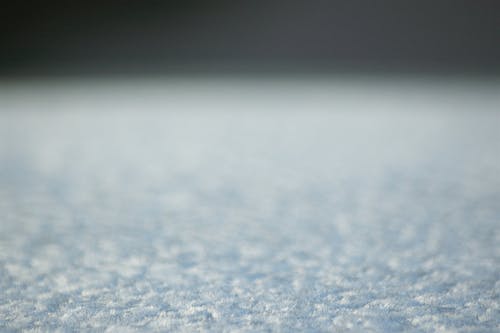 Kostenloses Stock Foto zu frost, kalt, kamerafokus