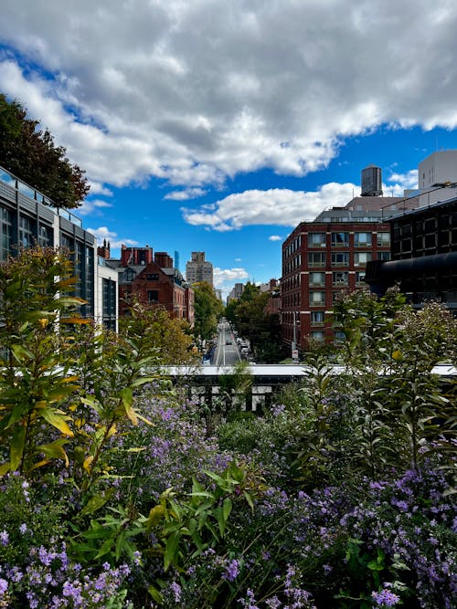 Бесплатное стоковое фото с highline, нью-йорк, обои с видом нью-йорка