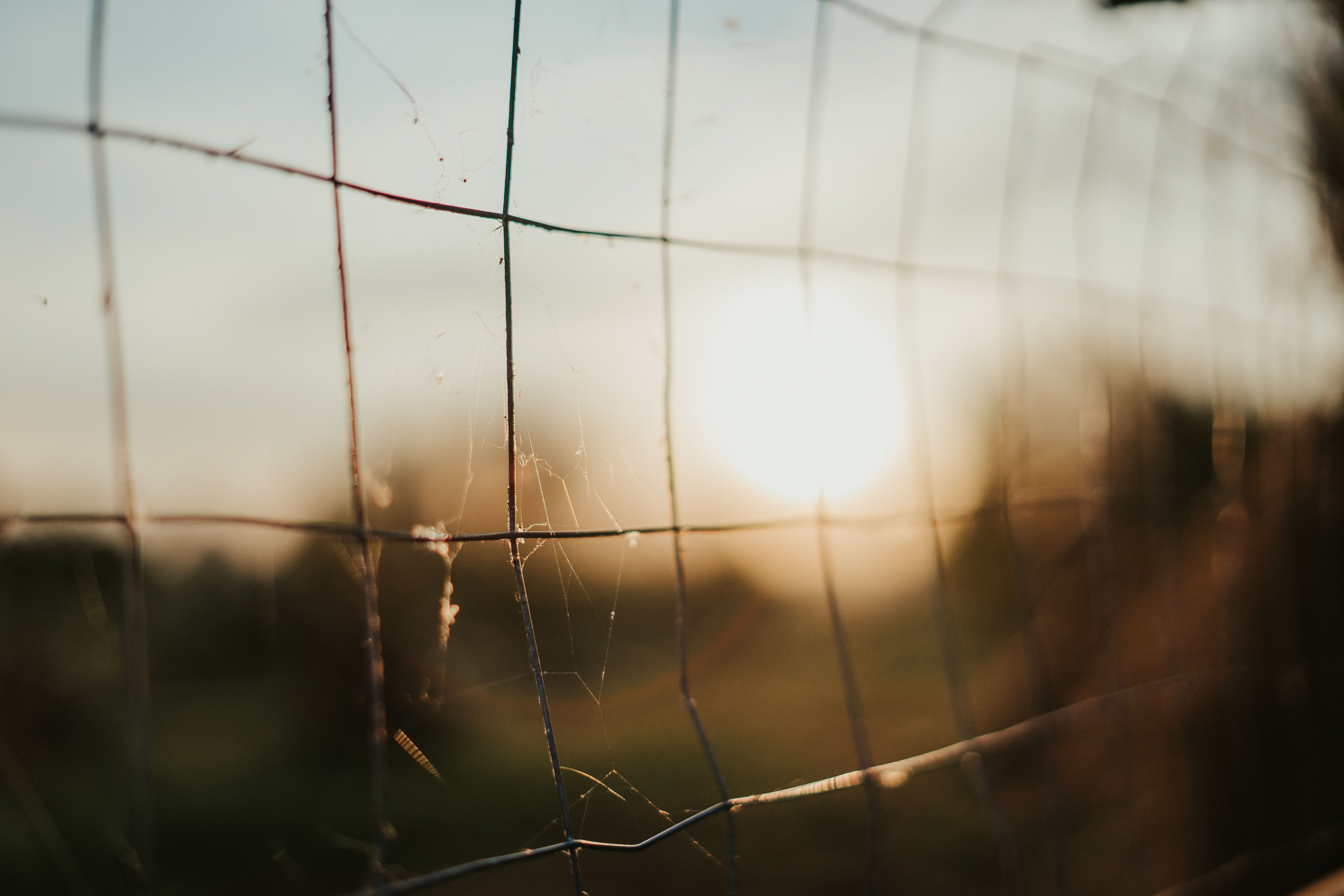 Close Up Shot of a Metal Fence · Free Stock Photo