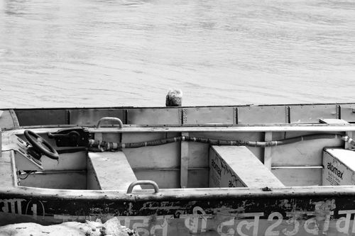 Free A monochrome view of an empty boat quietly docked at a calm river, offering a serene atmosphere. Stock Photo