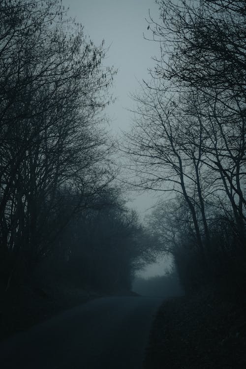 A Foggy Road in a Countryside