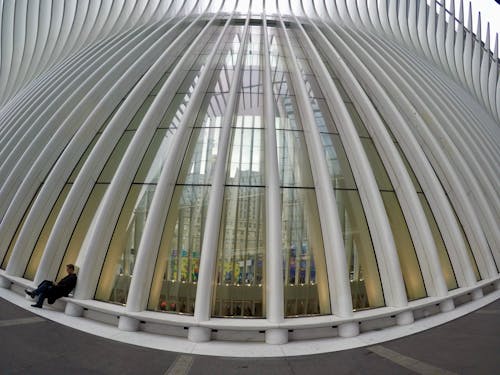 Základová fotografie zdarma na téma architektura, Manhattan, město new york