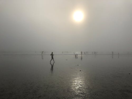 คลังภาพถ่ายฟรี ของ การวิ่ง, ชายหาด, ซานตาโมนิกา