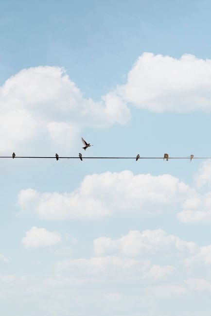A serene view of birds perched on an electric wire with a cloudy sky backdrop in Rio de Janeiro.
