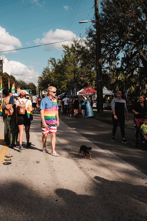 Foto profissional grátis de andando, celebração, comunidade lgbt