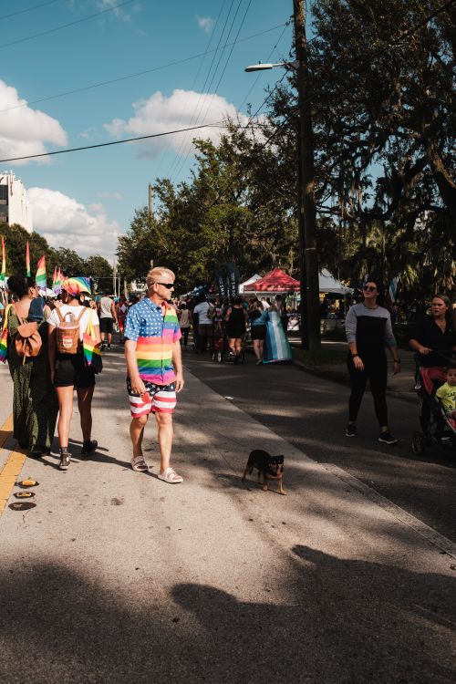 Free Colorful street scene of a Pride parade in Florida with people celebrating diversity. Stock Photo