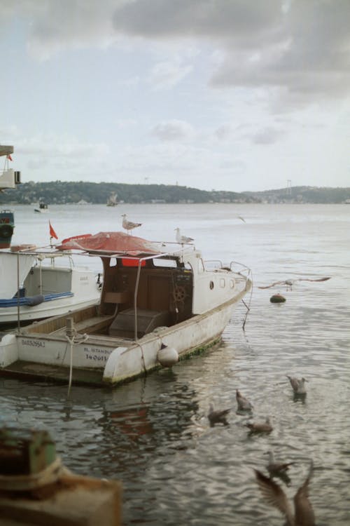 Foto profissional grátis de barco, embarcação, tiro vertical
