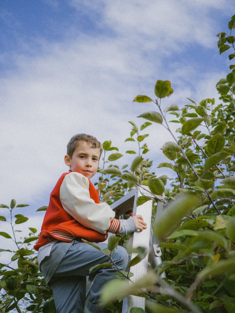 Boy In A Jacket Standing Climbing A Ladder 