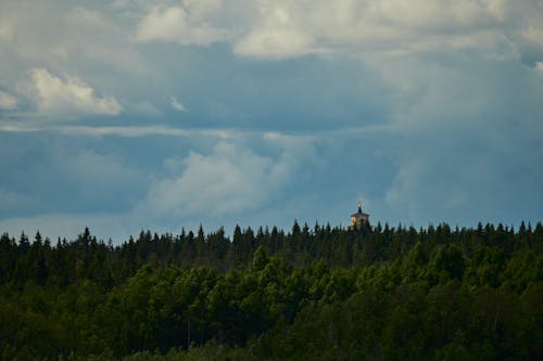Tower Above Trees under Cloudy Sky