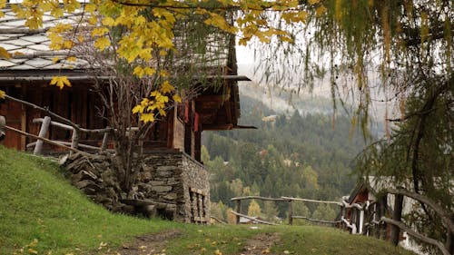 Foto profissional grátis de árvores, casas, cercas