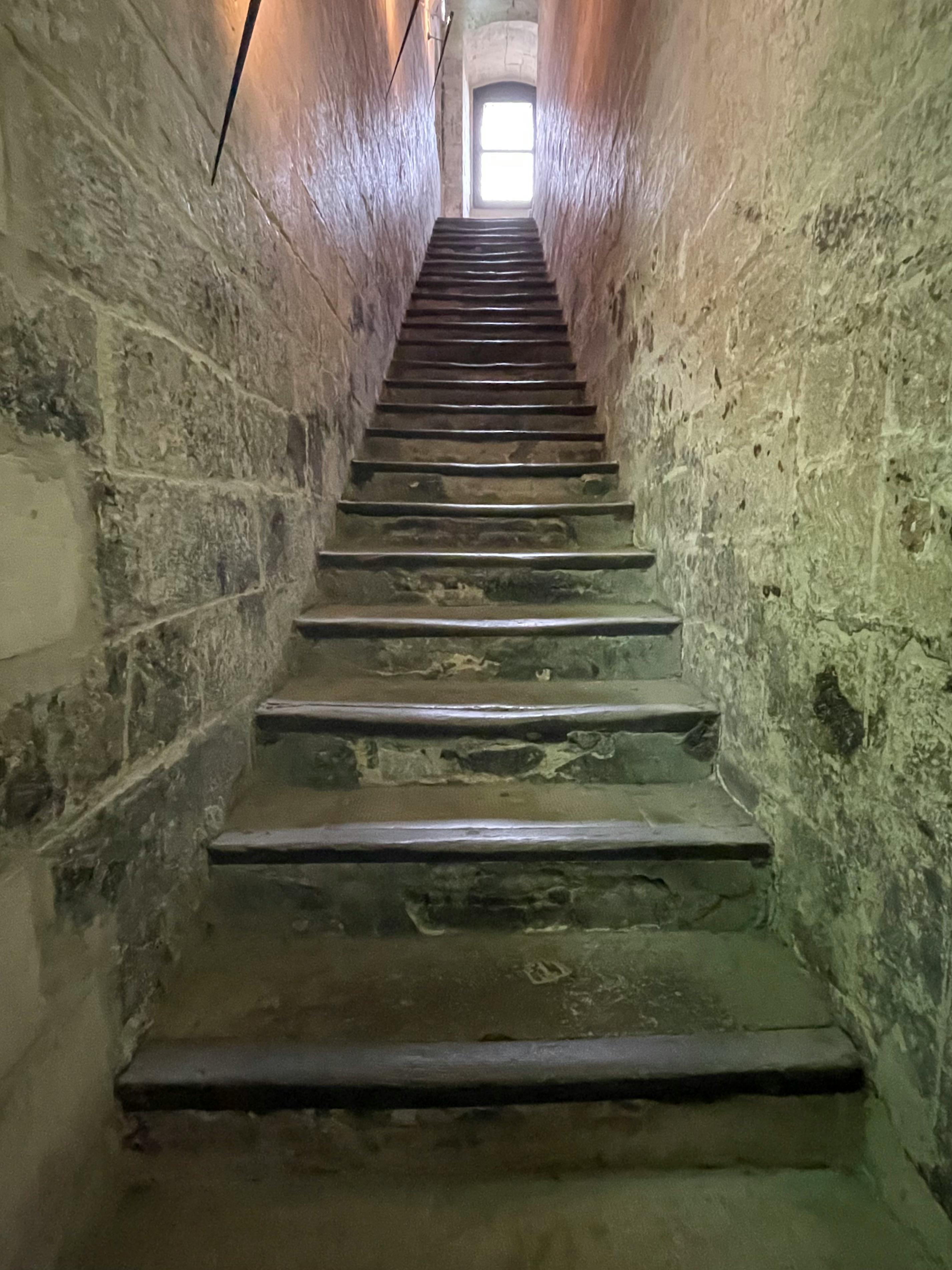 Gratis arkivbilde med lang trapp, palais des papes, slott Arkivbilde