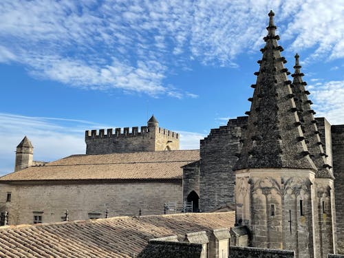 Darmowe zdjęcie z galerii z palais des papes