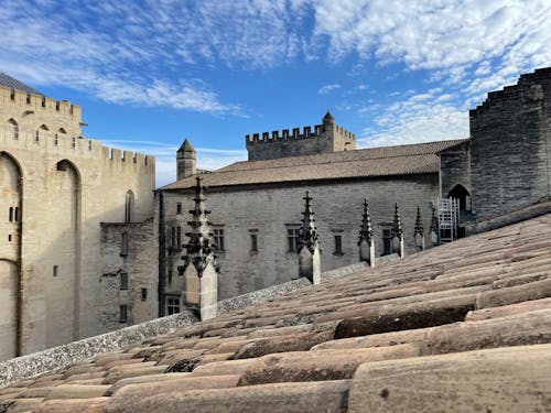 Darmowe zdjęcie z galerii z palais des papes