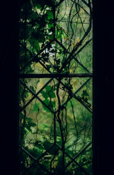 Ivy vines climbing a rain-soaked window with a moody, green ambiance.