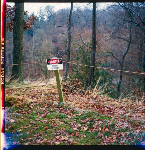 Free A cautionary sign in a colorful autumn forest warns of restricted access. Stock Photo