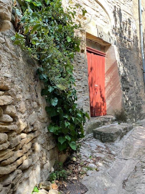 Immagine gratuita di ciottolo, edificio in pietra, pianta rampicante