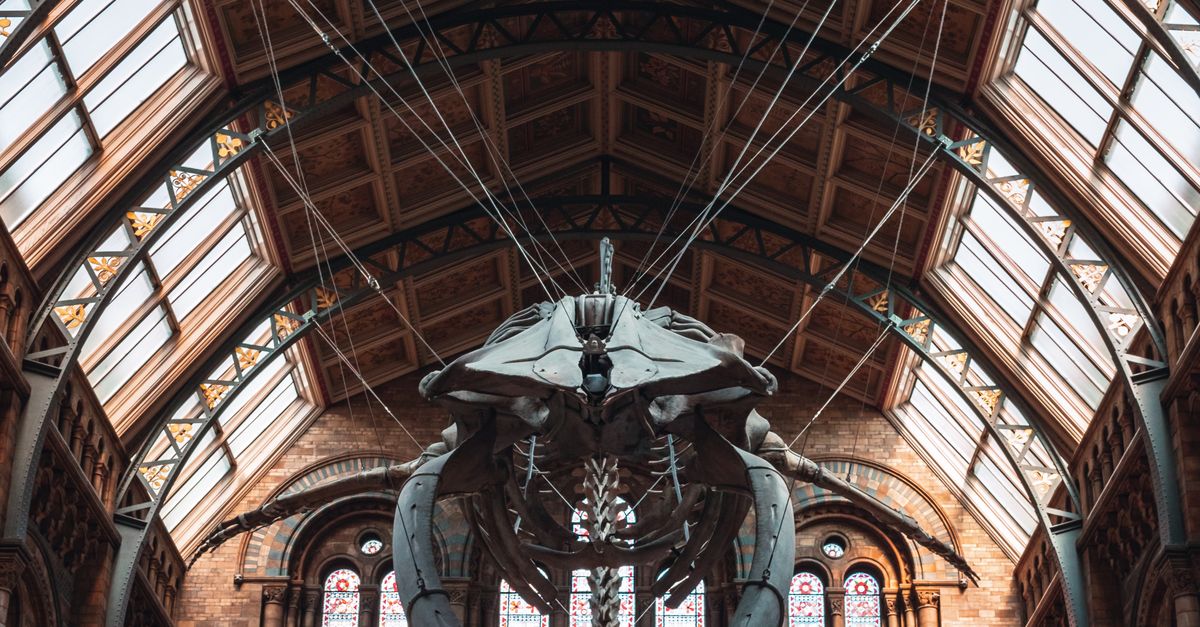 10 museums with surprising collections that challenge what you know 10 museums with surprising collections that challenge what you know
