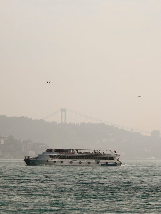 Kostenloses Stock Foto zu fähre, kreuzfahrt, meer