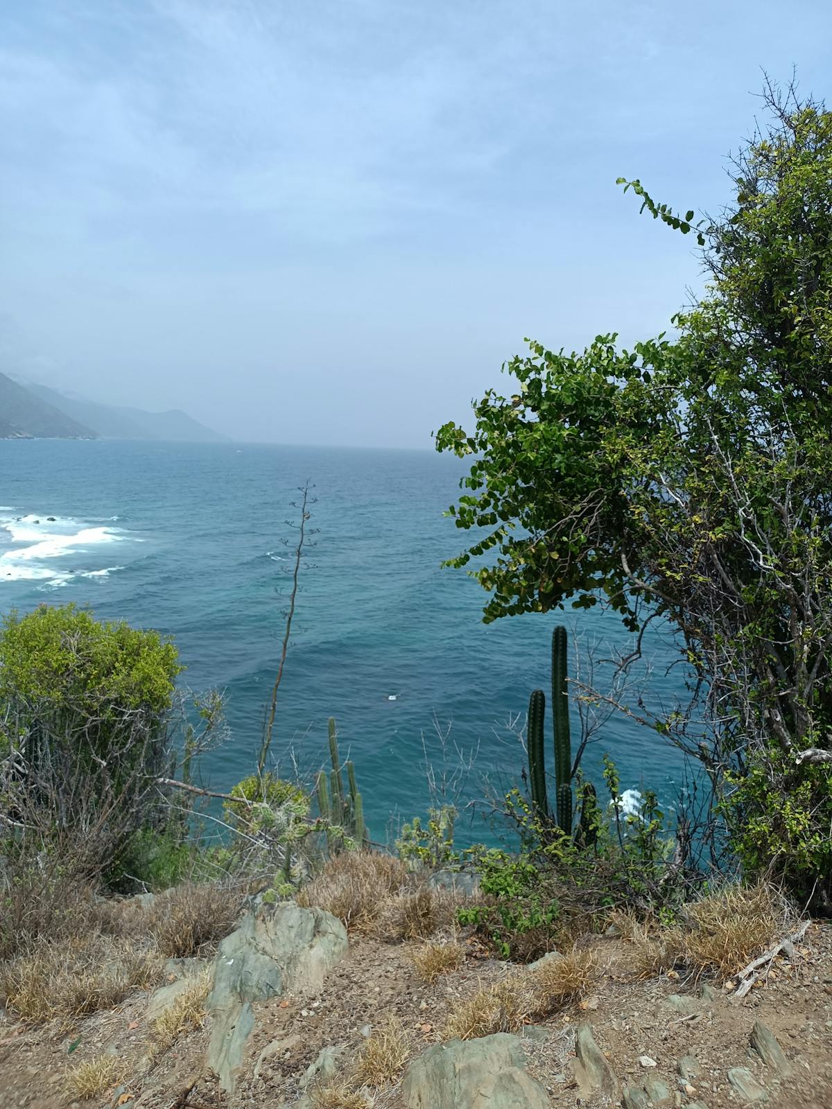 Race engineer analyzing data charts on screens in a motorsport garage