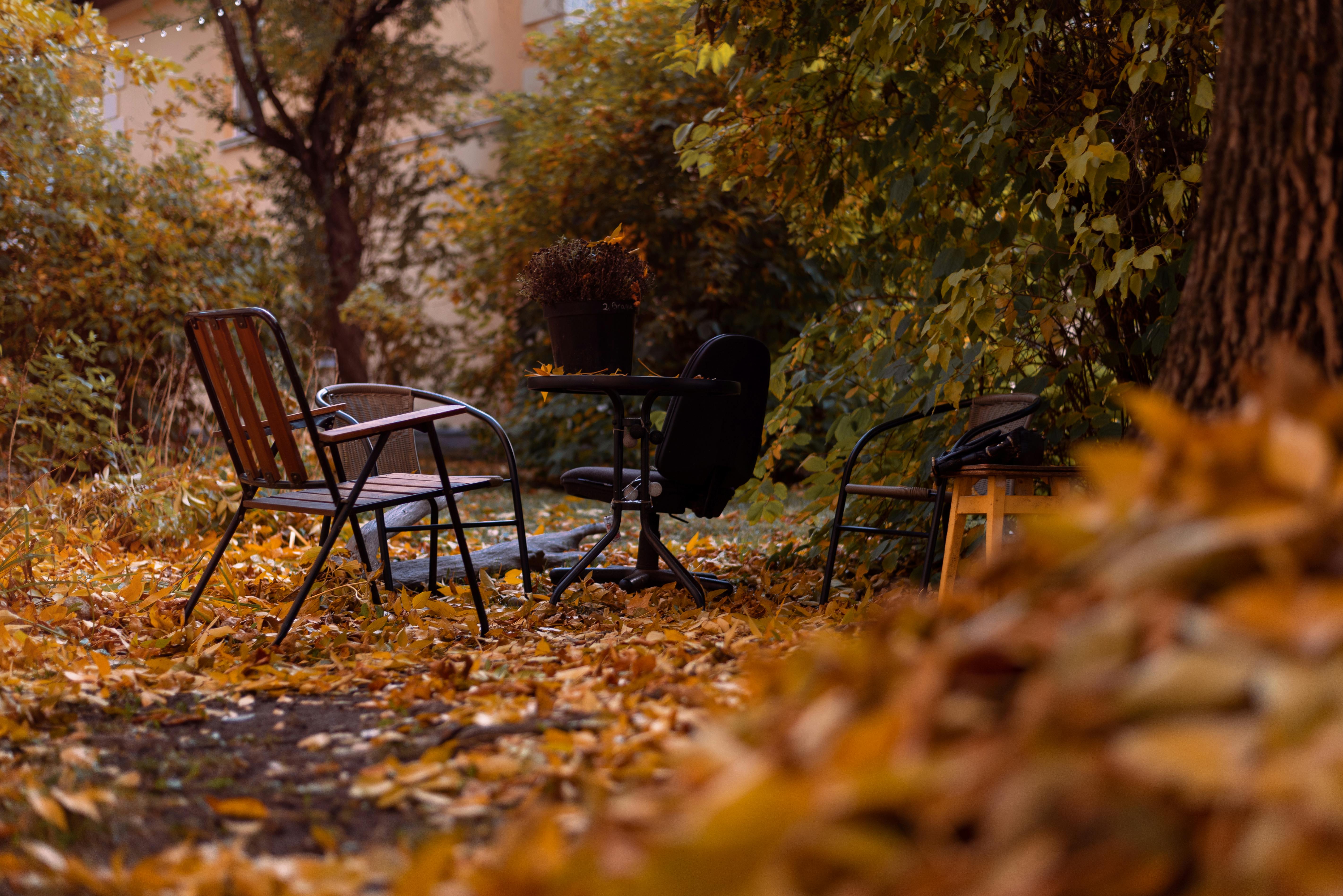 Peaceful autumn backyard with fallen leaves and empty chairs around a table.