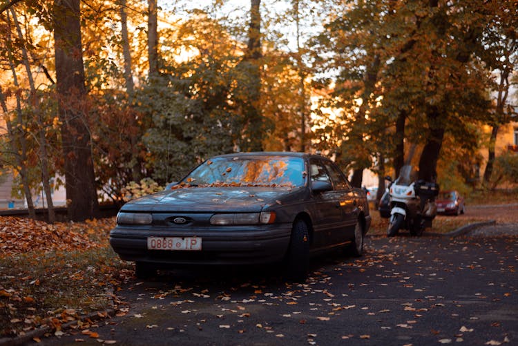 A Car Covered With Autumn Leaves