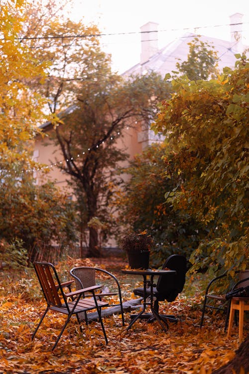 Empty Chairs and Table on the Backyard