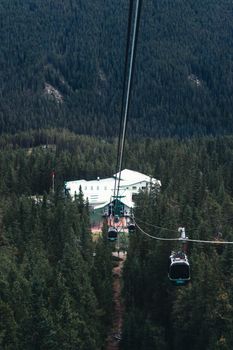 Explore Banff National Park with this breathtaking gondola ride over lush forests and mountain landscapes.