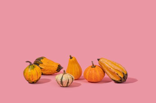 Free Colorful assortment of squashes against a pink background, perfect for fall themes. Stock Photo