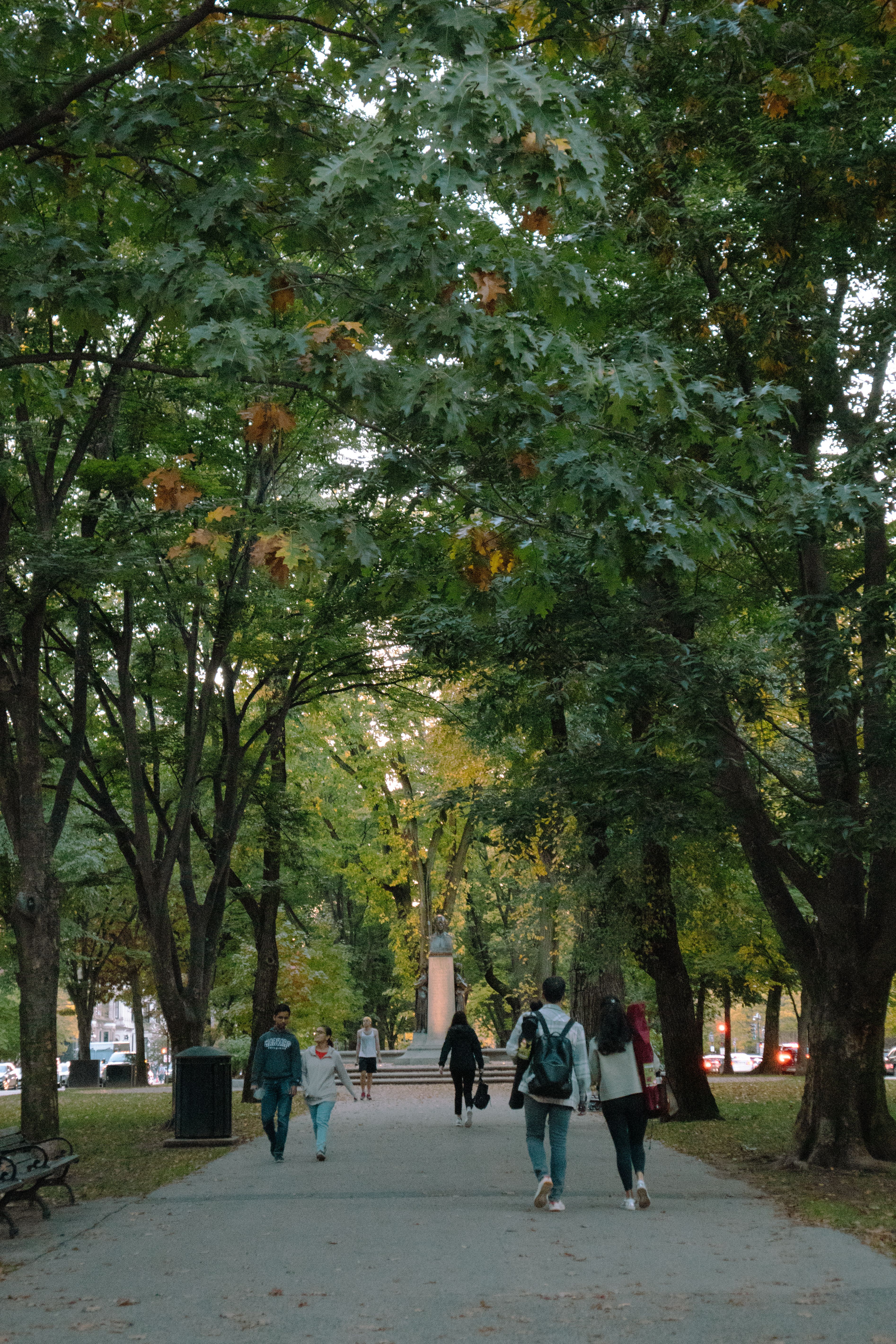 People Walking in a Park Full of Trees · Free Stock Photo