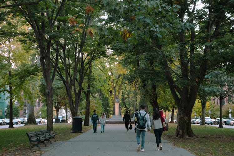 People Walking On The Park