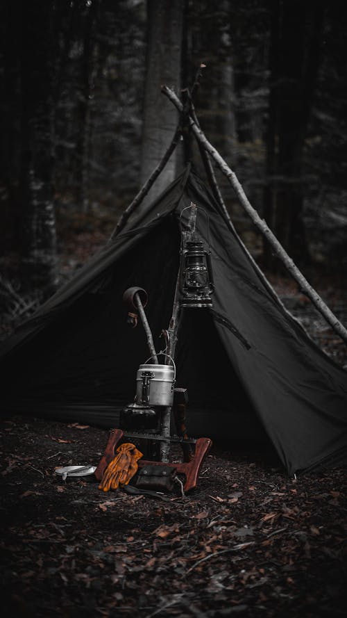 Бесплатное стоковое фото с вертикальный выстрел, кемпинг, лес