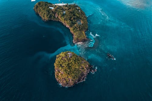 Foto profissional grátis de árvores, costa, fotografia aérea