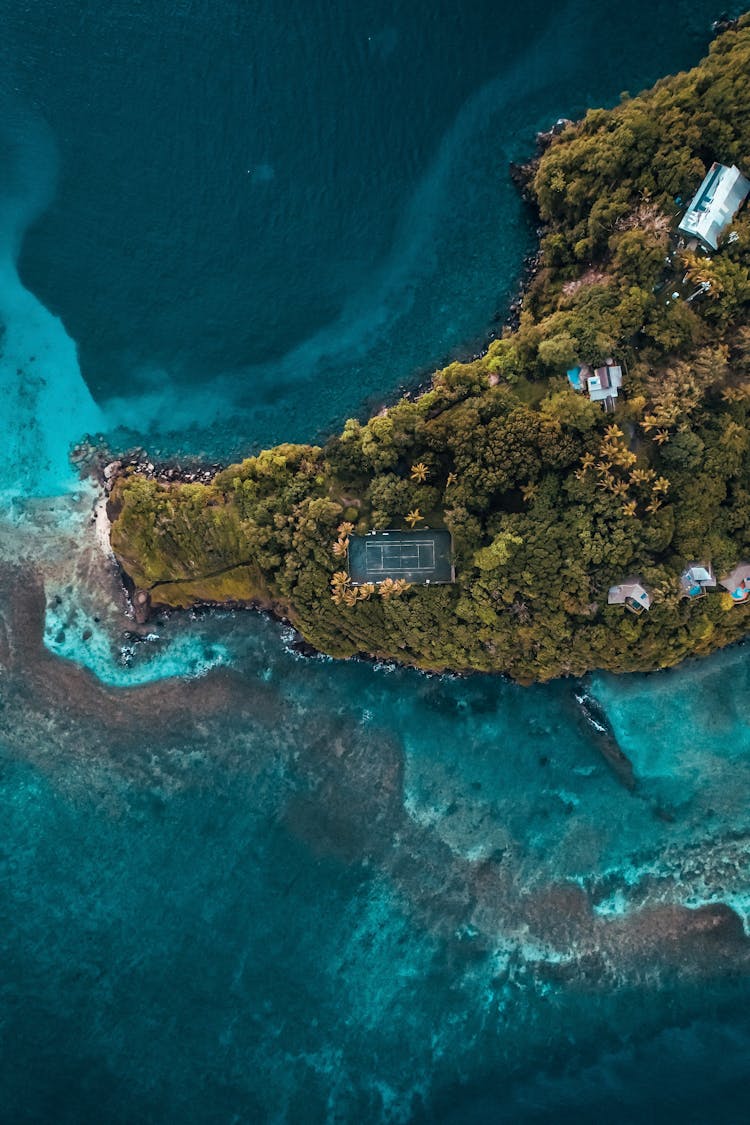 Village And Trees On Island