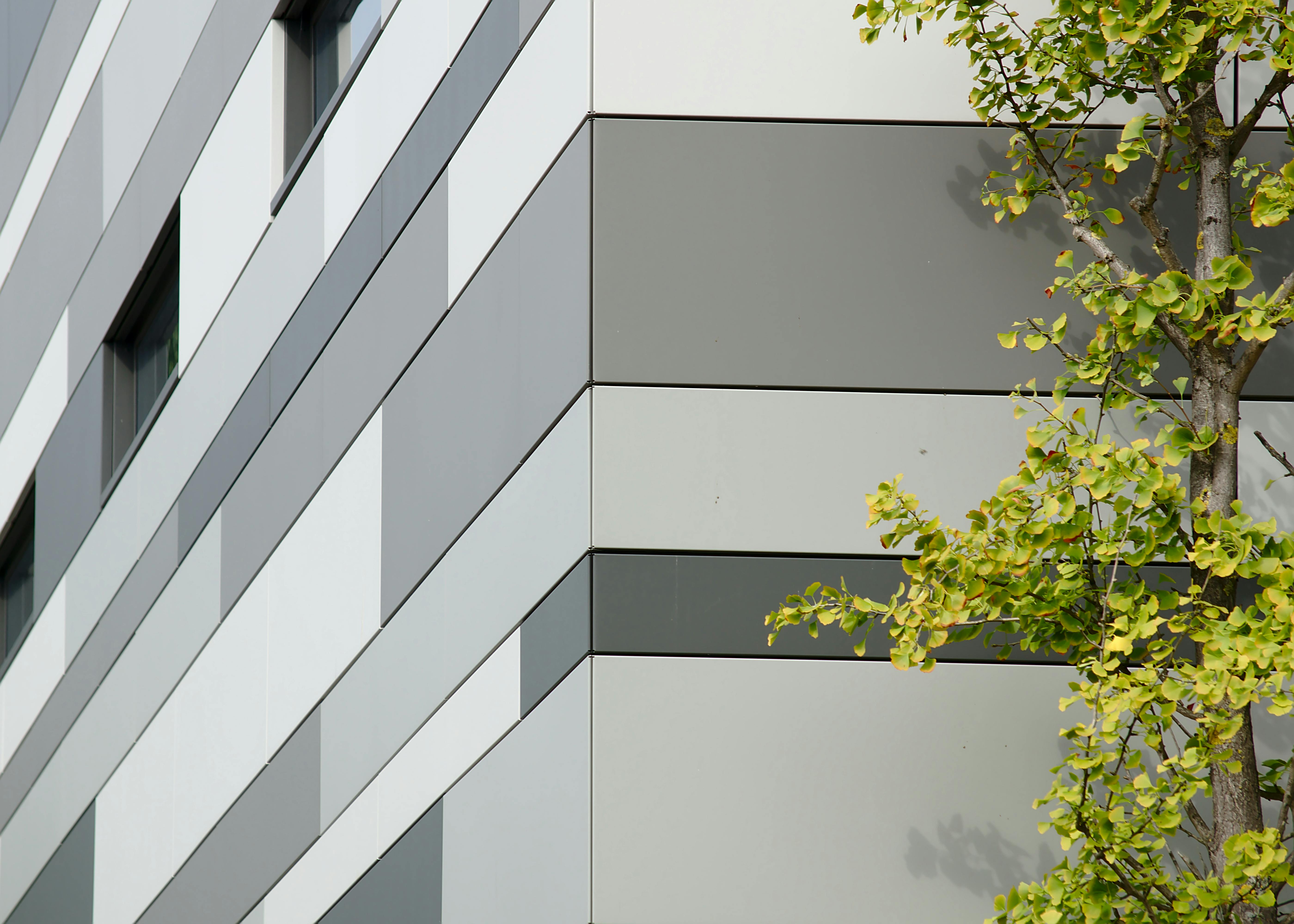 Free Modern building exterior with geometric patterns and a tree in the foreground. Stock Photo