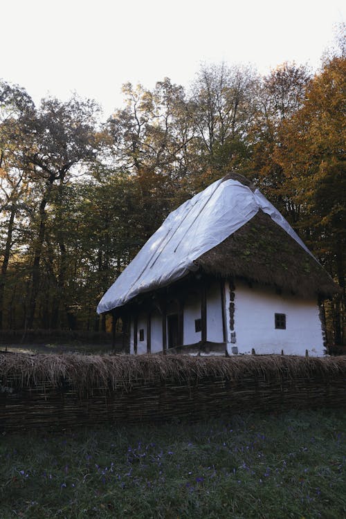 A Hut in the Forest