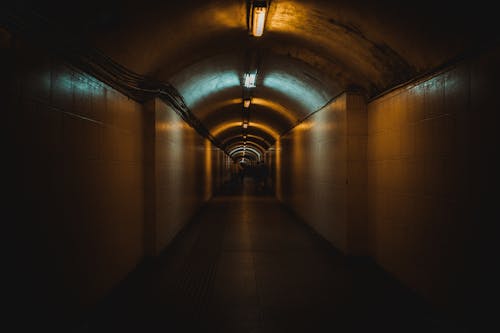 Free People Walking in a Tunnel Stock Photo