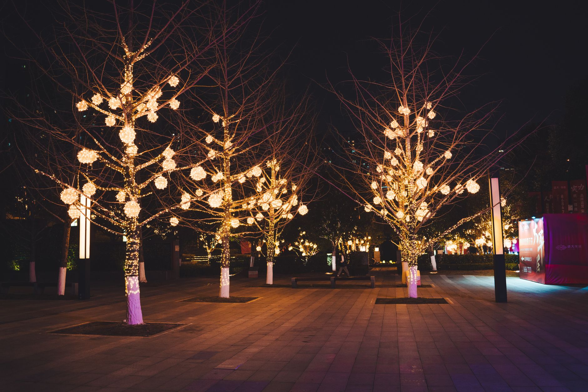 Thane group seeks ban on decorative lights wrapped around trees