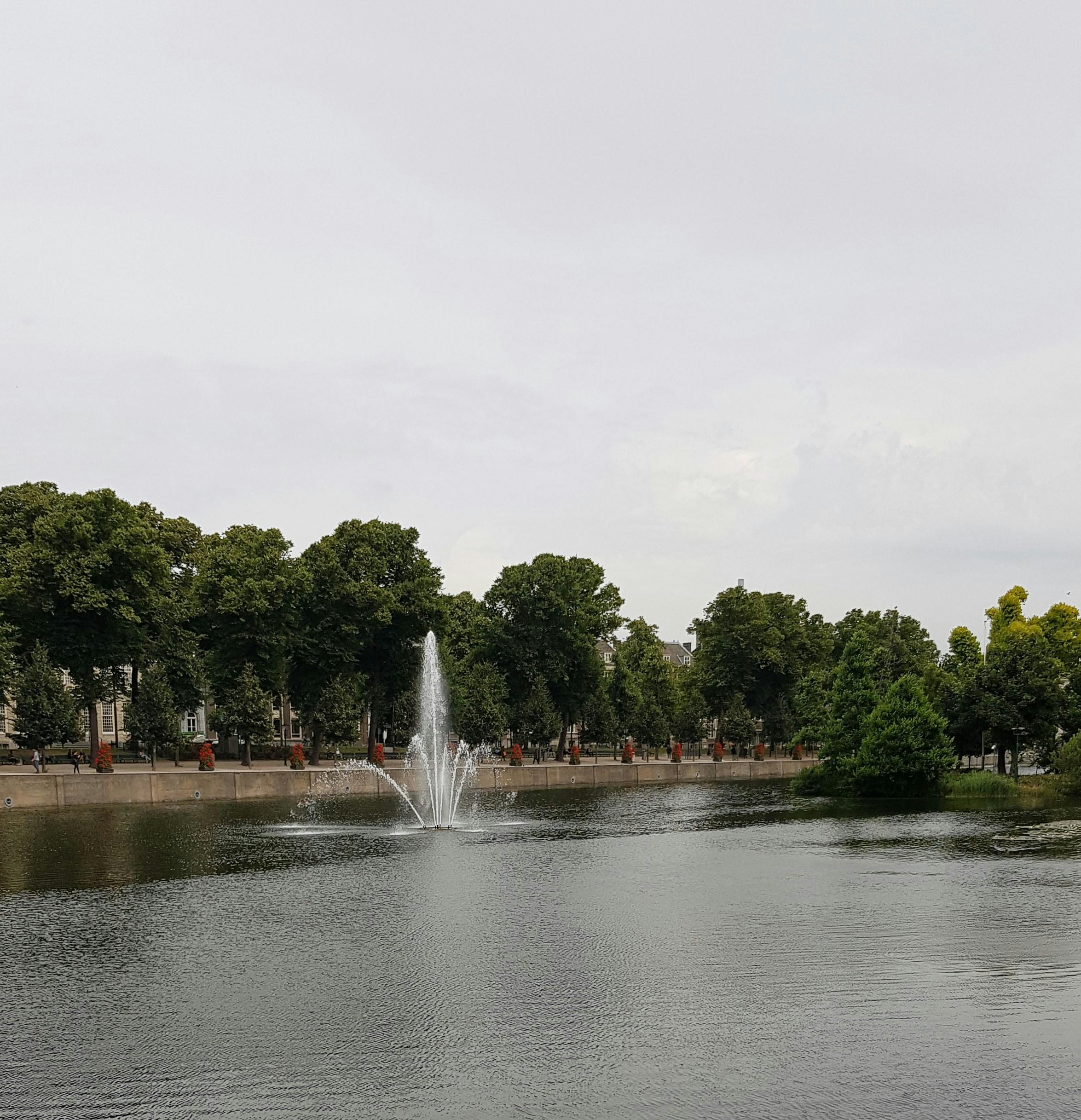 Water Fountain Near the Green Trees · Free Stock Photo