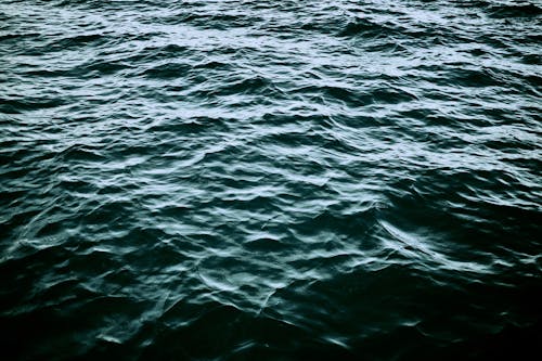 Photo of Calm Blue Ocean 