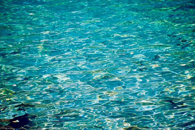 Clear Water Of A Sea