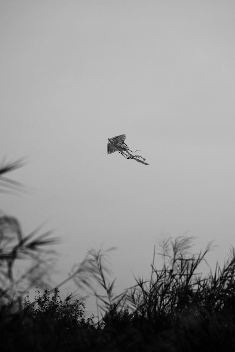 A Grayscale Of A Kite Flying