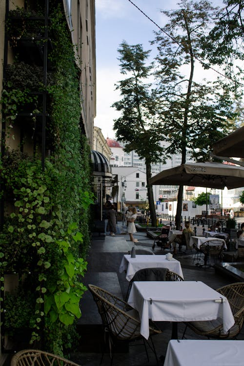 Restaurant Tables and Chairs near Wall with Ivy