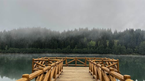 無料 木製ドック, 水域, 湖の無料の写真素材 写真素材