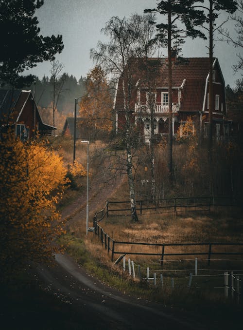 Foto d'estoc gratuïta de arbres, camí de carro, casa